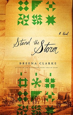 Stand the Storm: A Novel
