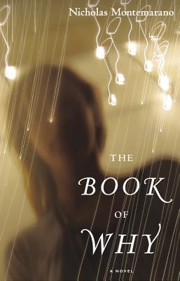 The Book of Why: A Novel