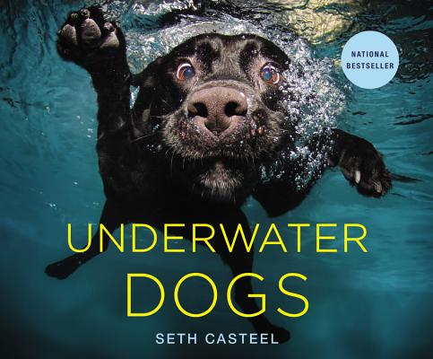 Image for Underwater Dogs