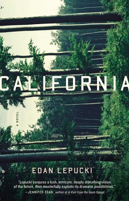 California: A Novel