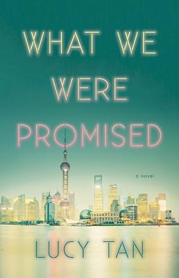Image for What We Were Promised
