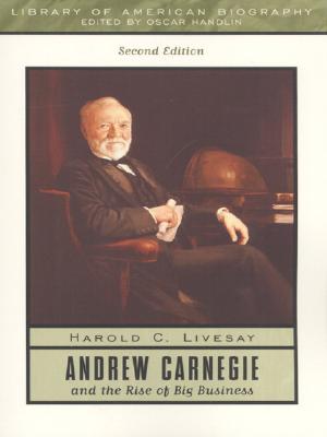 Image for Andrew Carnegie and the Rise of Big Business (2nd Edition)