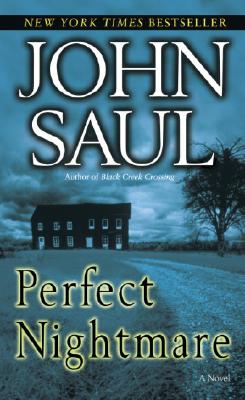 Perfect Nightmare: A Novel