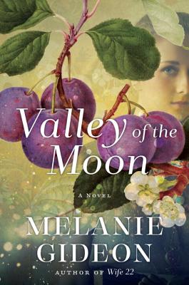 VALLEY OF THE MOON: A NOVEL