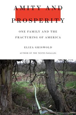 Image for Amity and Prosperity: One Family and the Fracturing of America