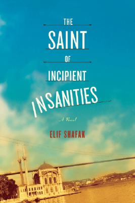 Image for The Saint of Incipient Insanities: A Novel The Saint of Incipient Insanities: A Novel