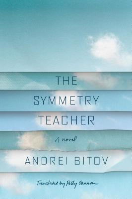 Symmetry Teacher