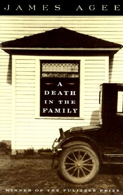 Image for Death In The Family, A