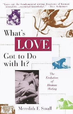 What's Love Got to Do with It: The Evolution of Human Mating