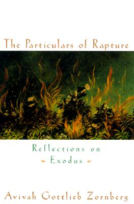 The Particulars of Rapture: Reflections on Exodus