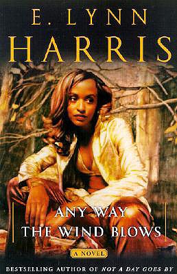Any Way the Wind Blows: A Novel