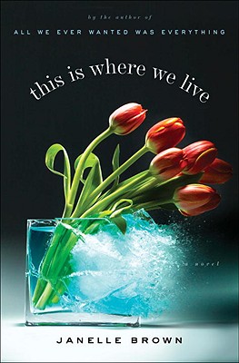 This Is Where We Live: A Novel