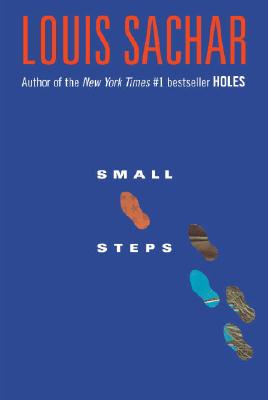 Small Steps (Paperback)