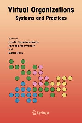 Image for Virtual Organizations (Lecture Notes in Mathematics)