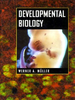 Image for Developmental Biology Developmental Biology