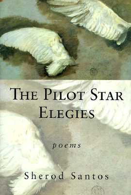 THE PILOT STAR ELEGIES. Poems
