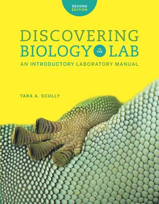 Image for Discovering Biology in the Lab: An Introductory Laboratory Manual Discovering Biology in the Lab: An Introductory Laboratory Manual