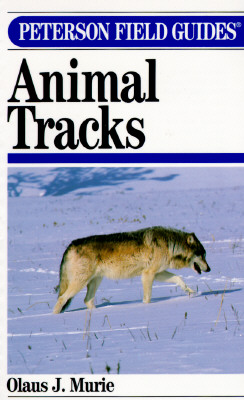 Image for Peterson Field Guide to Animal Tracks