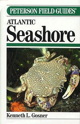A Field Guide to the Atlantic Seashore