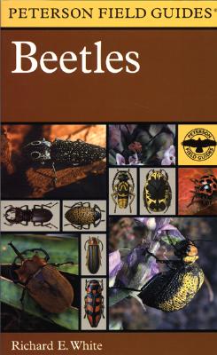 Image for The Beetles of North America (Peterson Field Guide) The Beetles of North America (Peterson Field Guide)