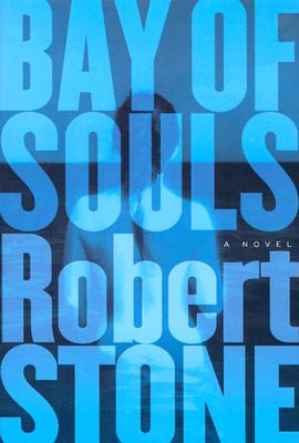 Image for Bay of Souls: A Novel