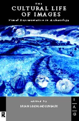 The Cultural Life of Images: Visual Representation in Archaeology (Theoretical Archaeology Group)