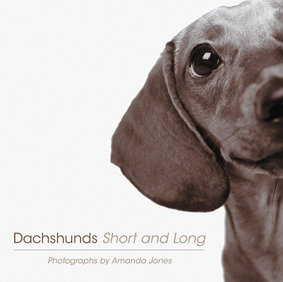 Dachshunds Short and Long
