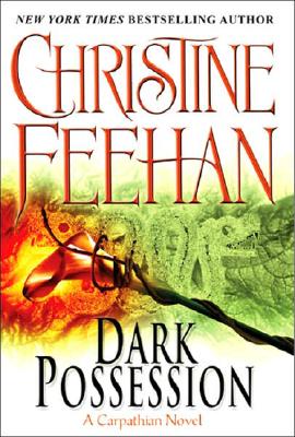 Image for Dark Possession Dark Series #18