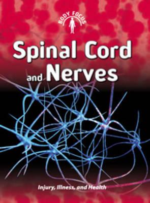 Spinal Cord and Nerves (Body Focus)