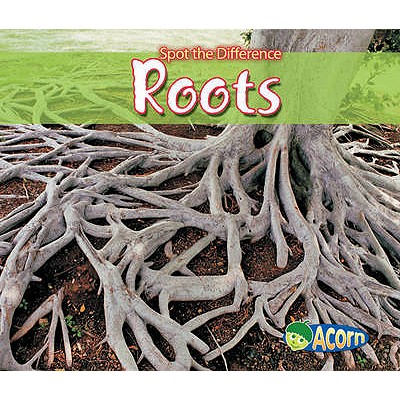 Acorn: Spot the Difference: Roots