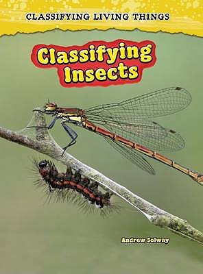 Classifying Insects (Classifying Living Things)