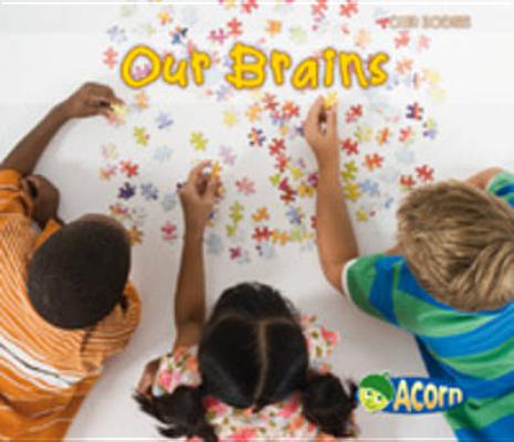 Our Brains (Acorn: Our Bodies)