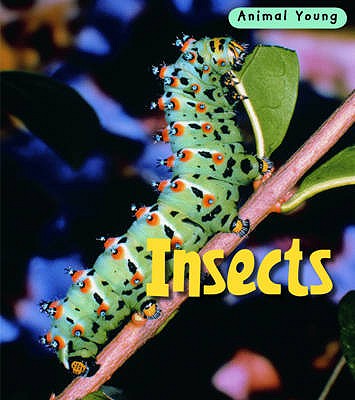 Insects (Animal Young)