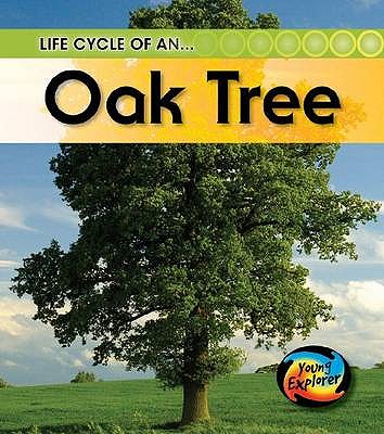 Life Cycle of an Oak tree (Young Explorer: Life Cycles)