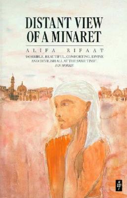 Distant View of a Minaret and Other Stories (African Writers Series No. 271)