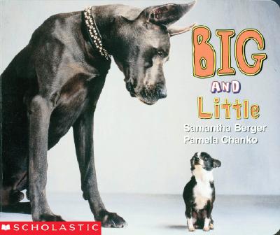 Image for Big And Little (My First Library) Big And Little (My First Library)