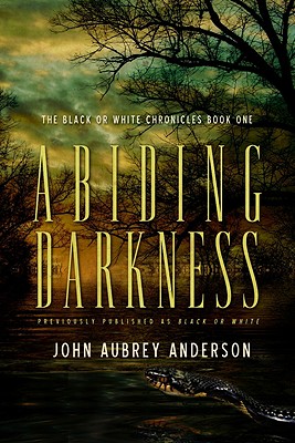 Abiding Darkness: A Novel