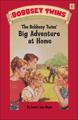 The Bobbsey Twins Big Adventure At Home