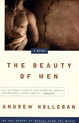 The Beauty of Men: A Novel