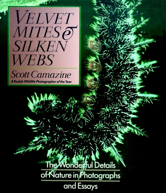 Velvet Mites & Silken Webs