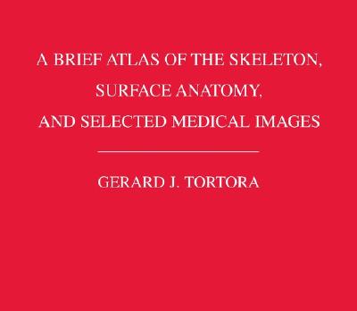 Image for A Brief Atlas of the Skeleton Surface Anatomy, and Selected Medical Images