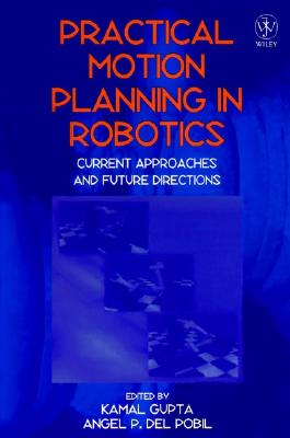Practical Motion Planning in Robotics: Current Approaches and Future Directions