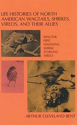 Image for Life Histories of North American Wagtails, Shrikes, Vireos, and Their Allies