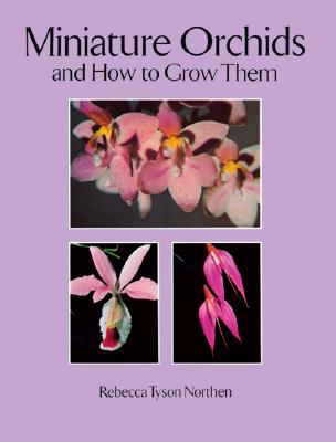 Miniature Orchids and How to Grow Them