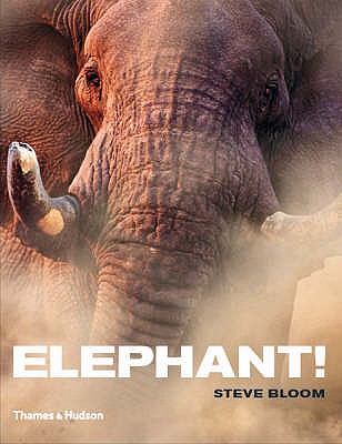 Elephant!