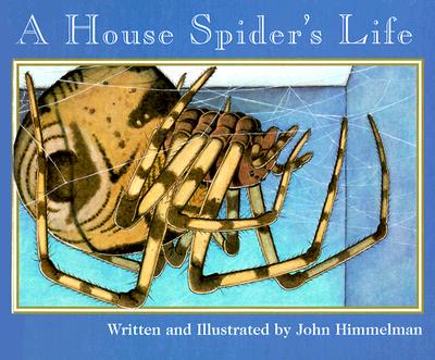 A House Spider's Life (Nature Upclose)