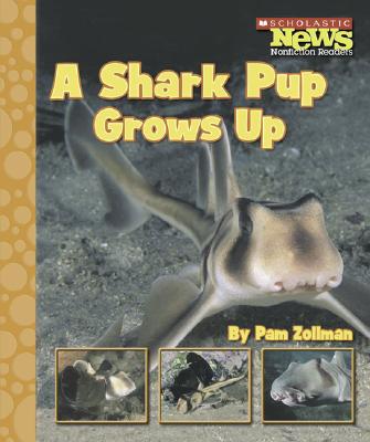 Image for A Shark Pup Grows Up (Scholastic News Nonfiction Readers) A Shark Pup Grows Up (Scholastic News Nonfiction Readers)