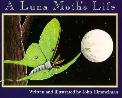 Image for A Luna Moth's Life (Nature Upclose)