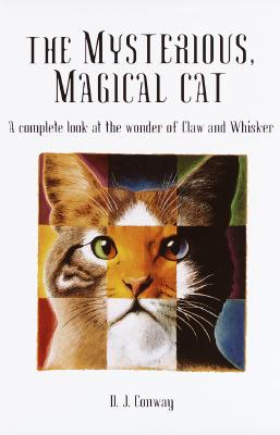Image for The Mysterious, Magical Cat