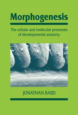 Morphogenesis: The Cellular and Molecular Processes of Developmental Anatomy (Developmental and Cell Biology Series, Series Number 23)